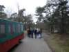 NWK 031_small.jpg